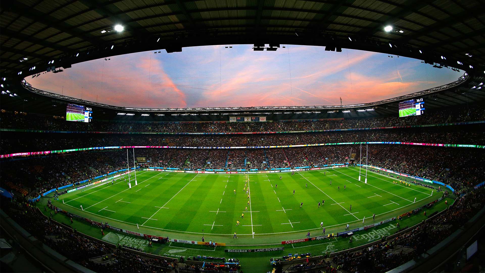 的独特魅力 的独特魅力