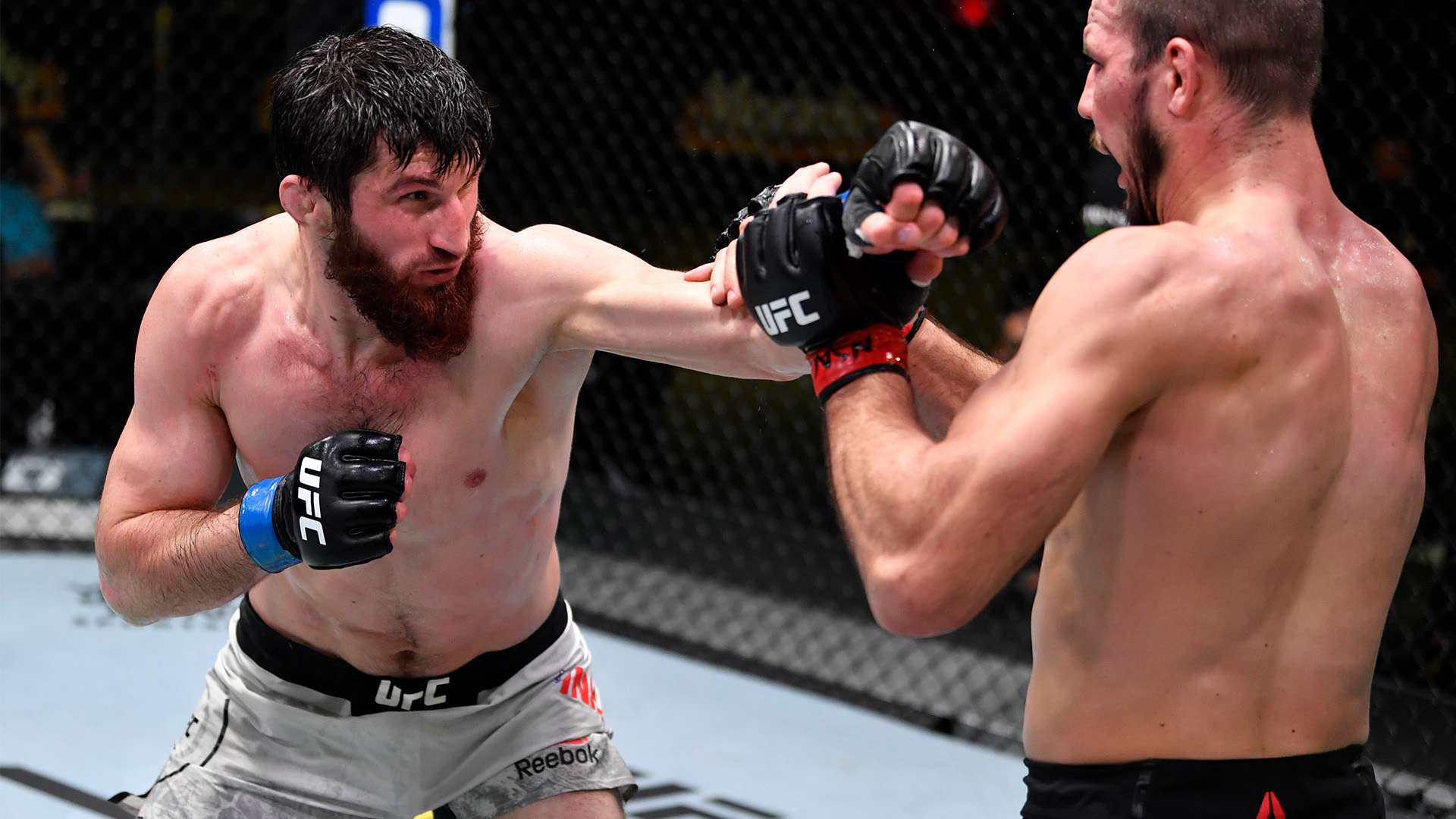 高风险的比 高风险的比